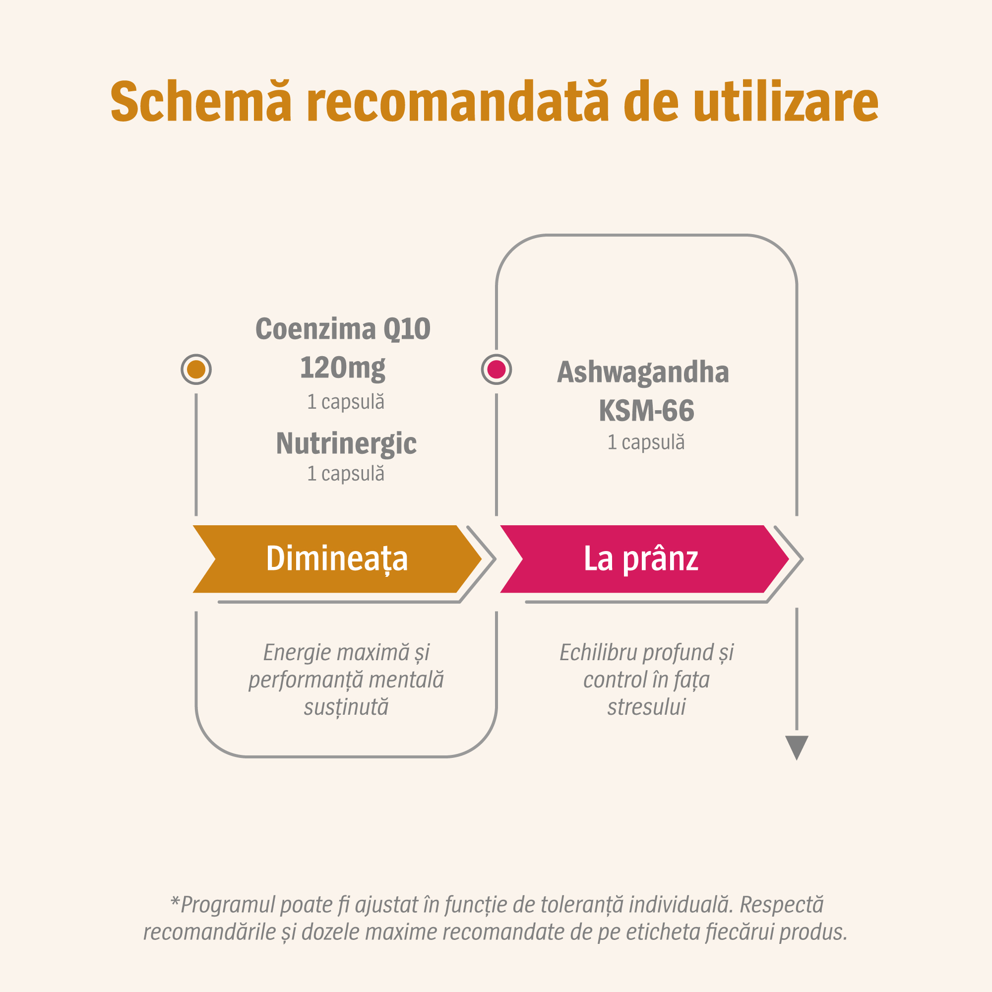 schema de utilizare Pachet energie si vitalitate, Alevia