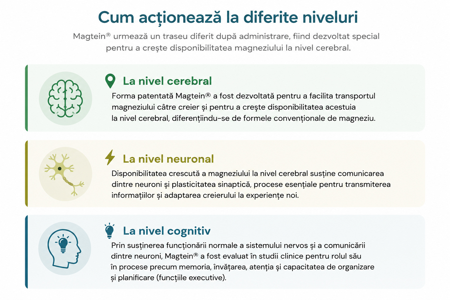 Magtein 90 caspule, 4, alevia.ro