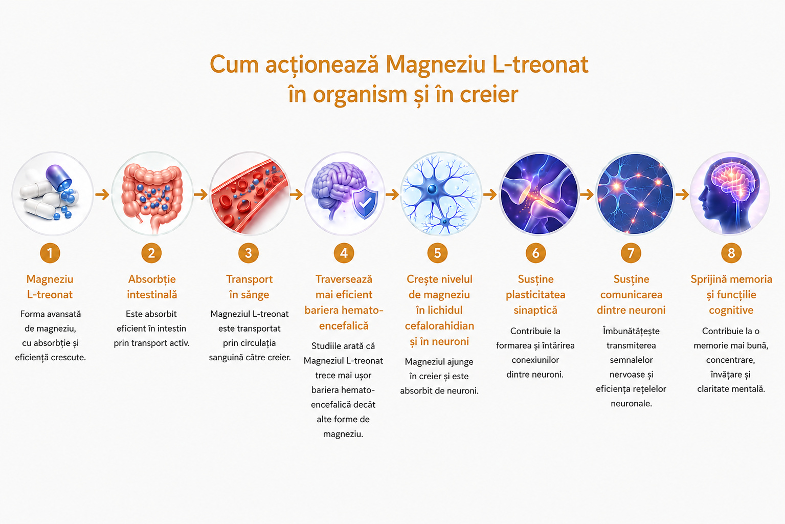 Magtein 90 capsule, 3, alevia.ro