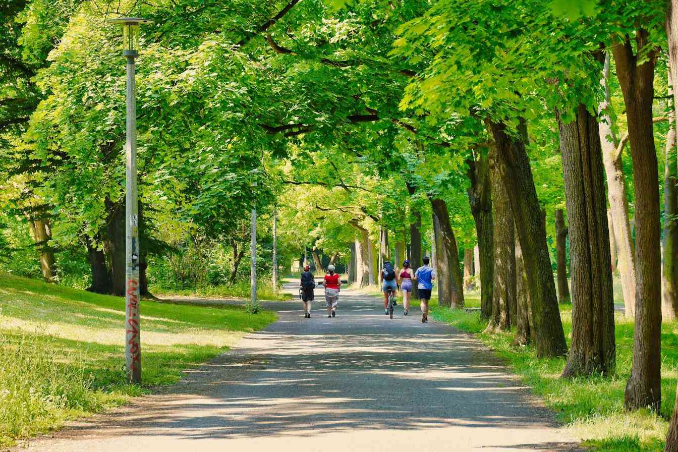 Mobilitatea articulațiilor: cum o susții prin mișcare și nutriție